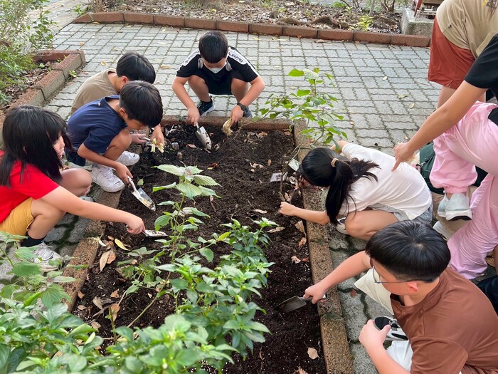 種菜2圖片