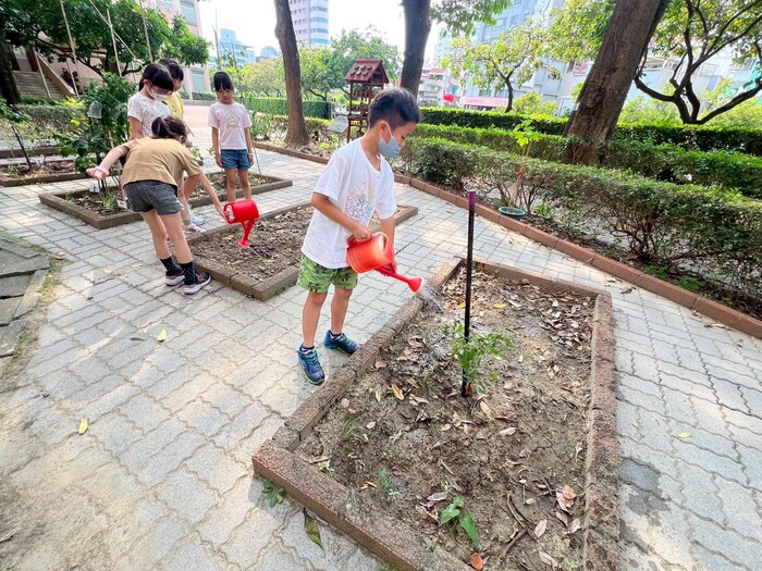 植物立牌2圖片